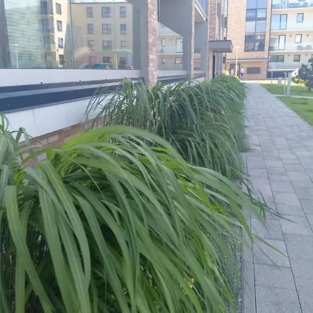 アパート Mietowa Perla *