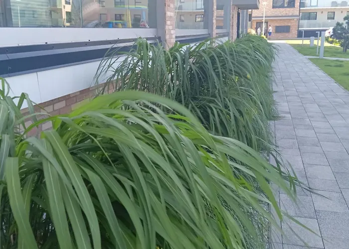 Apartment Mietowa Perla *